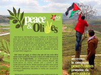 “PEACE&OLIVES”: UN CONTRIBUTO PER LA PALESTINA, UN VIAGGIO NEL RICORDO DI PAOLO